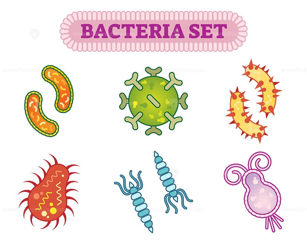 Бактериология иллюстрации