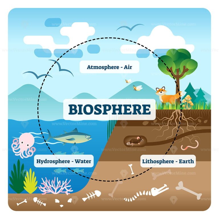 Biosphere vector illustration