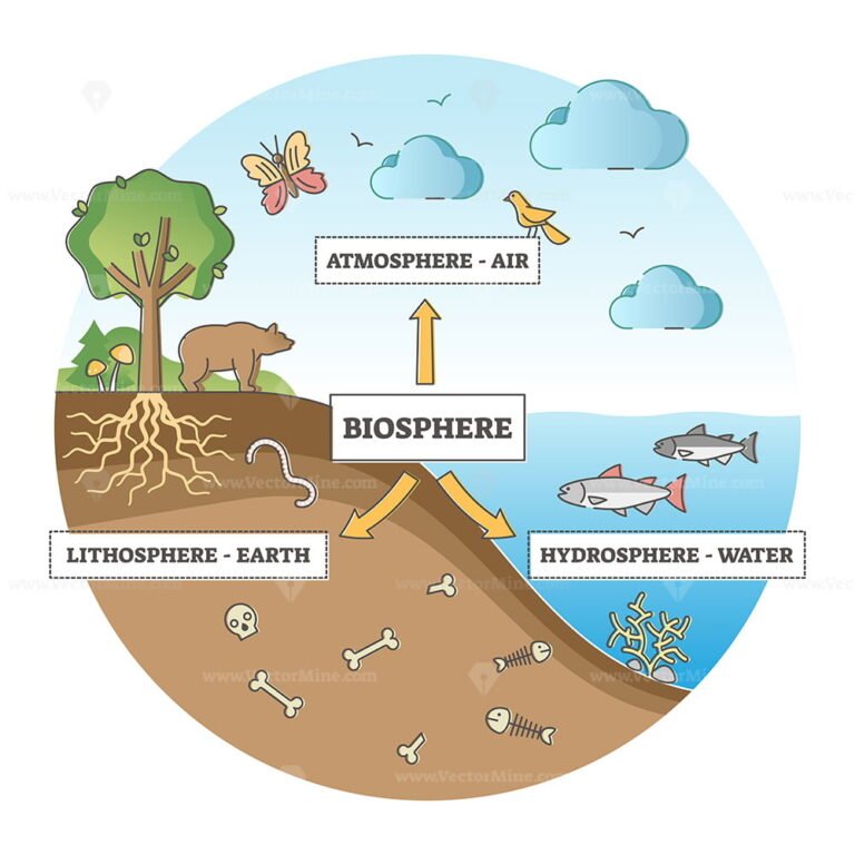 Biosphere division with labeled ecosystem explanation scheme outline diagram