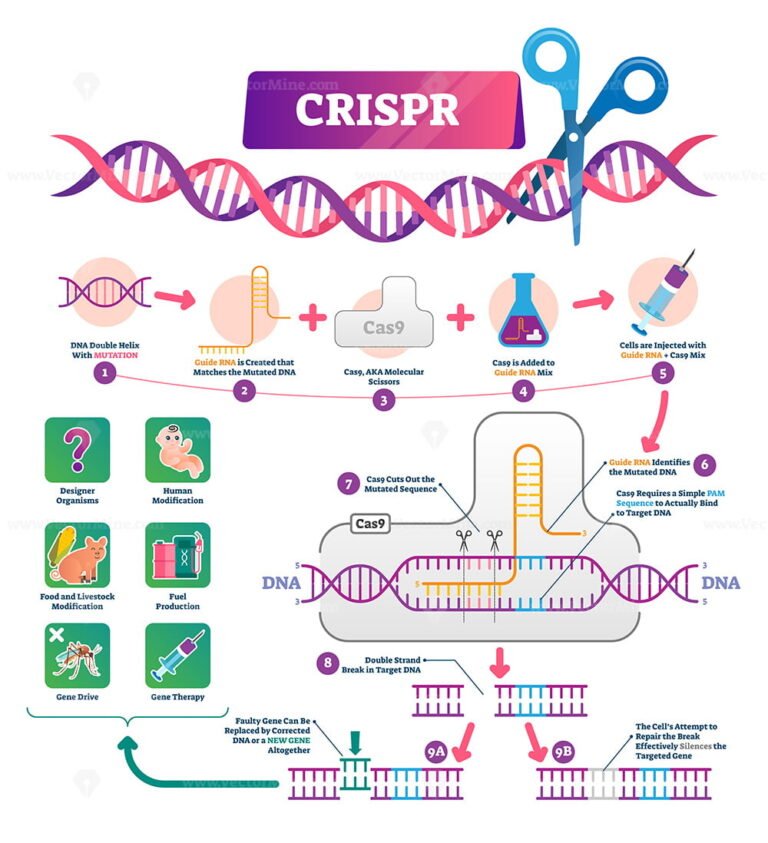 CRISPR vector illustration