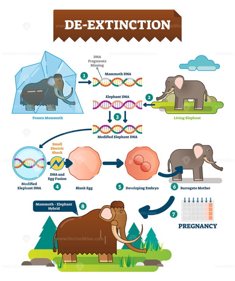 De-extinction infographic vector illustration