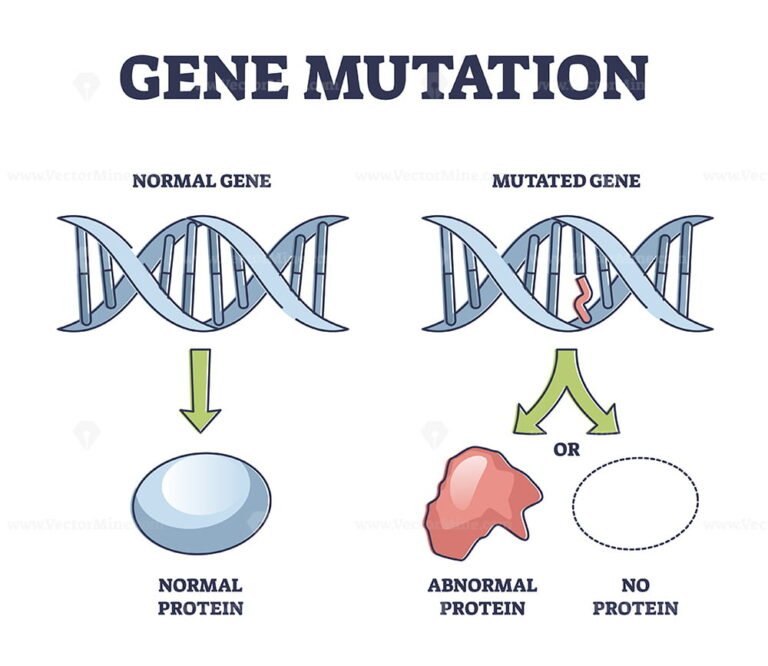 Gene mutation models comparison with abnormal helix protein outline diagram