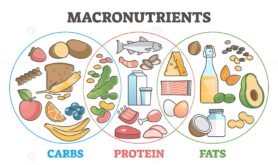 Macronutrients outline