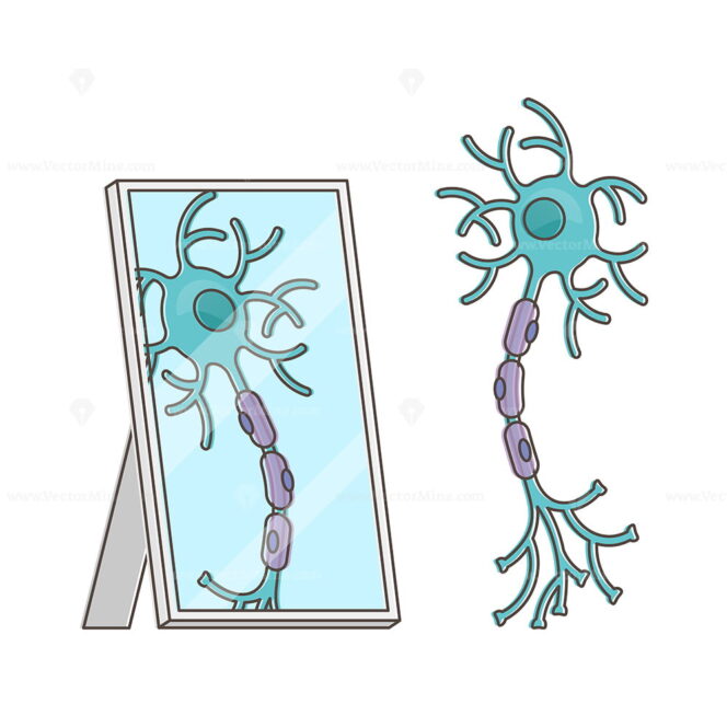 Mirror neurons vector illustration – VectorMine