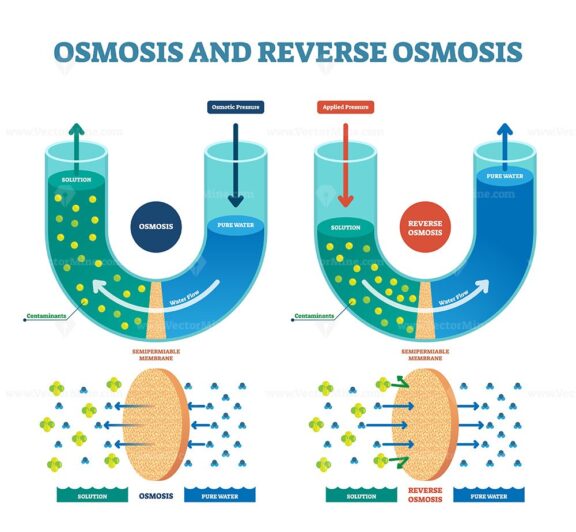 Osmosis reverse vector illustration