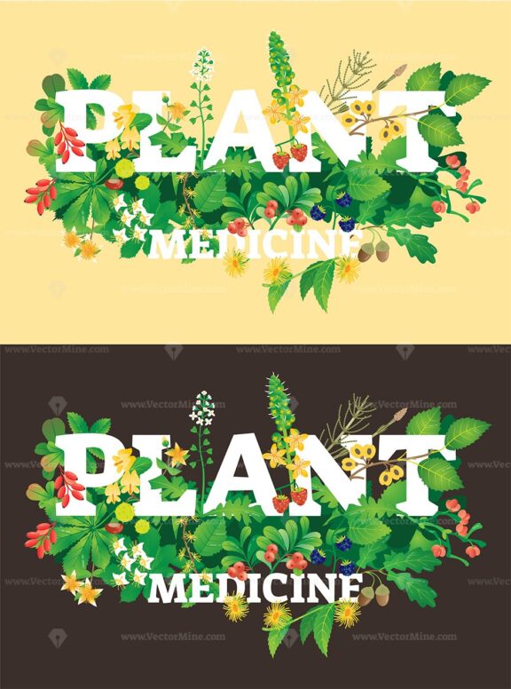 FREE Plant medicine vector illustration
