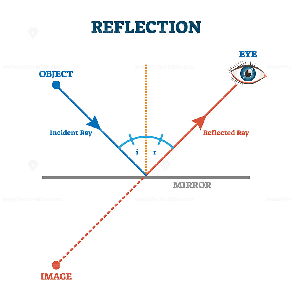Specular and diffuse reflection, vector illustration diagram – VectorMine