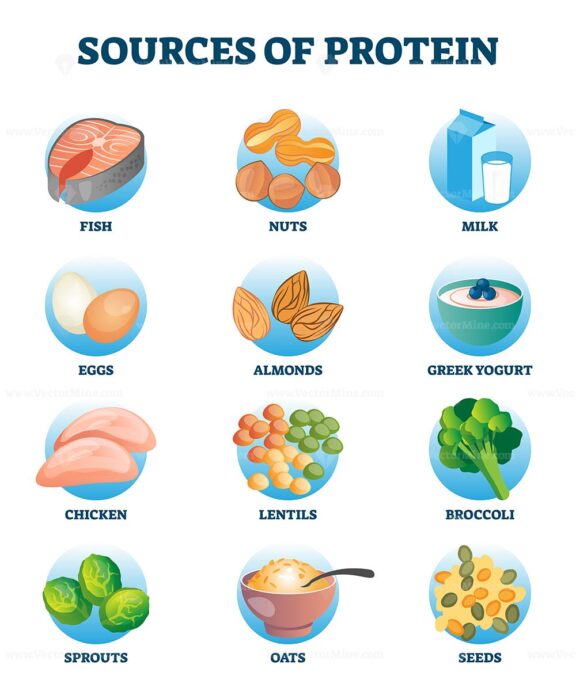 Sources of protein as healthy and high nutrient diet products collection