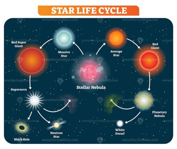 Star life cycle stages from stellar nebula to red giant to black hole