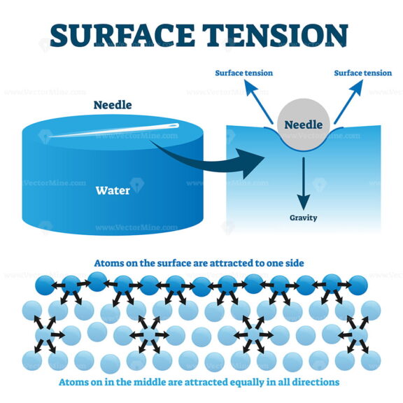 Surface tension explanation vector illustration diagram
