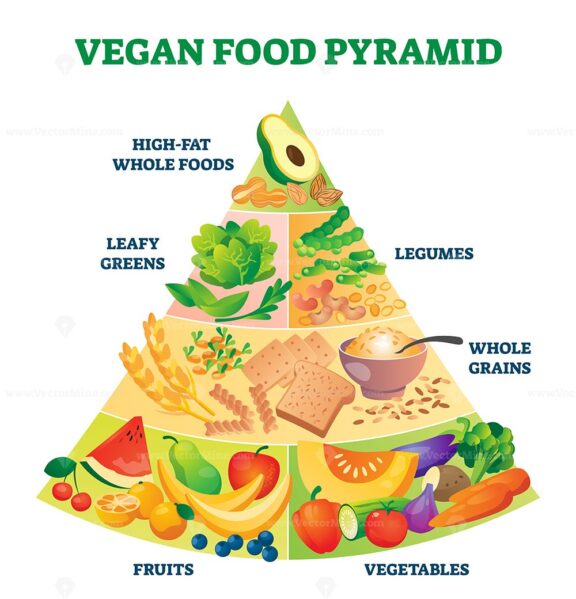 Vegan food pyramid vector illustration