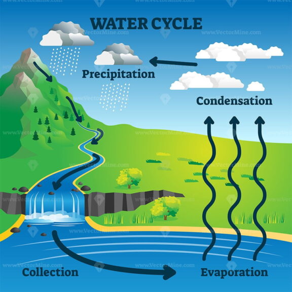 Water cycle vector illustration