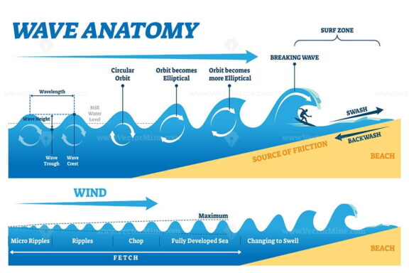 Wave anatomy vector illustration