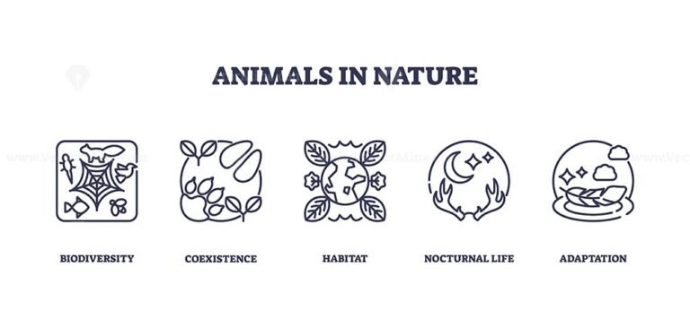 Animals in nature icons outline showing biodiversity, habitat, and adaptation. Outline icons set.