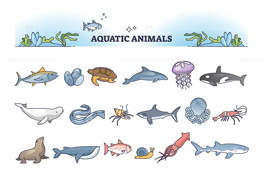 Aquatic animals collection with sea and ocean wildlife outline items set –  VectorMine