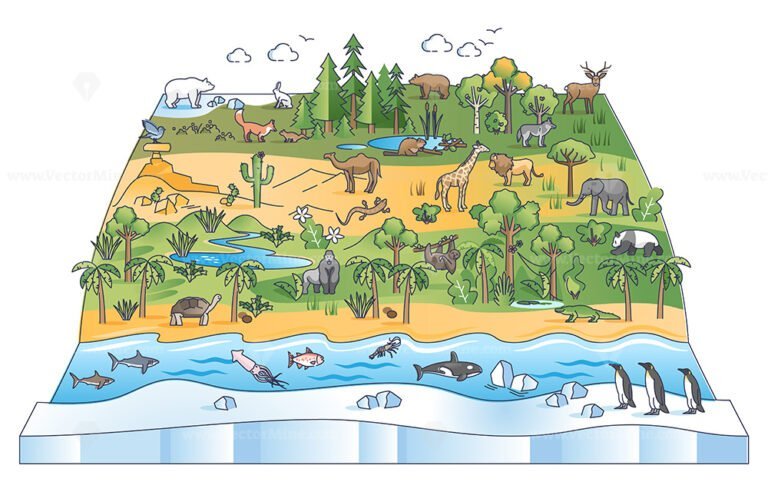 Biodiversity scene with flora and fauna ecological zones outline diagram