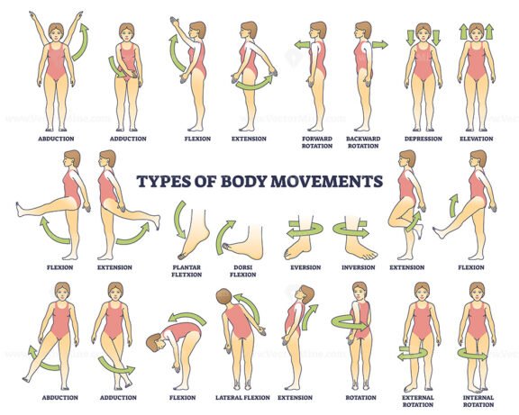 Body movement types with medical physical motion explanation outline diagram