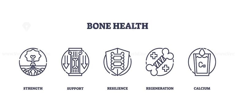 Bone health icons illustrate strength, support, and resilience. Outline icons set