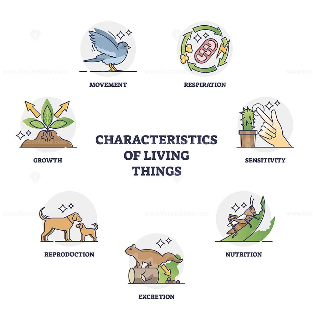 Characteristics Of Living Things And Their Recognition Groups Outline Diagram Vectormine