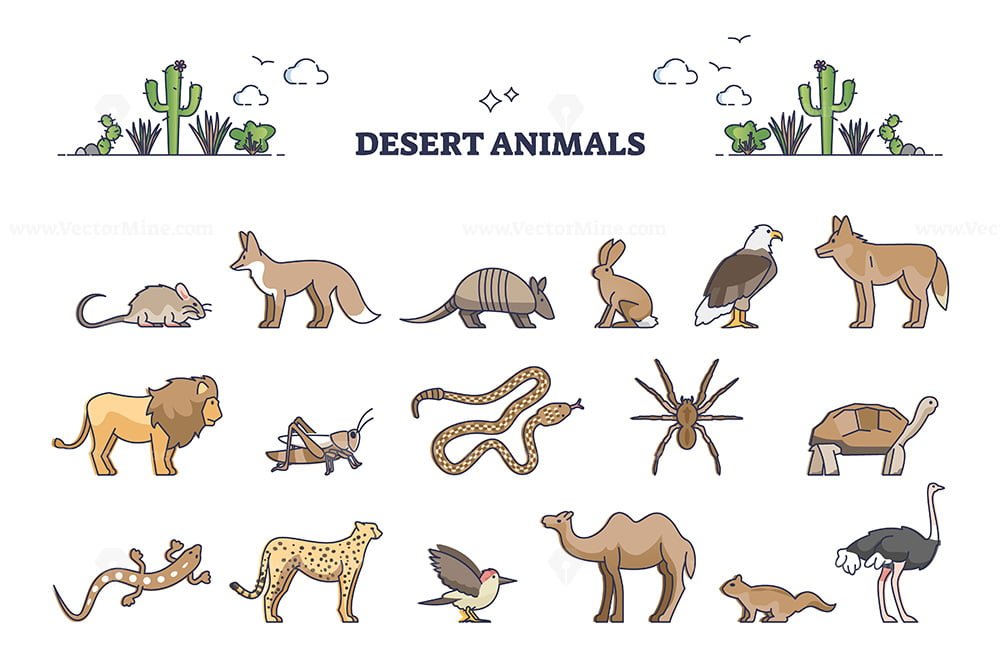 Desert animals collection with hot environment habitat species outline set  – VectorMine