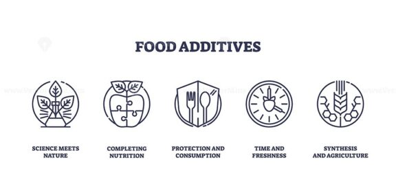 Food additives icons outline concepts like nutrition, protection, and synthesis. Outline icons set.