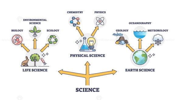 Life, physical and earth science branches division network outline diagram