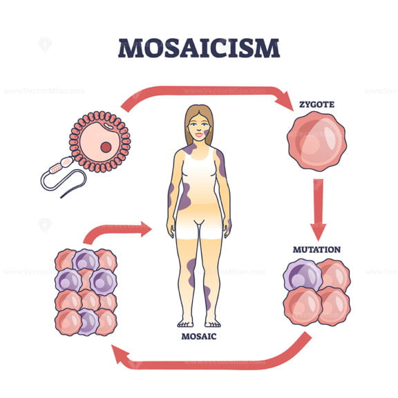 Mosaicism as medical genetic condition with cellular defect outline diagram