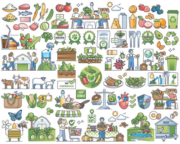 Organic food and local farmer vegetables harvest in outline collection set