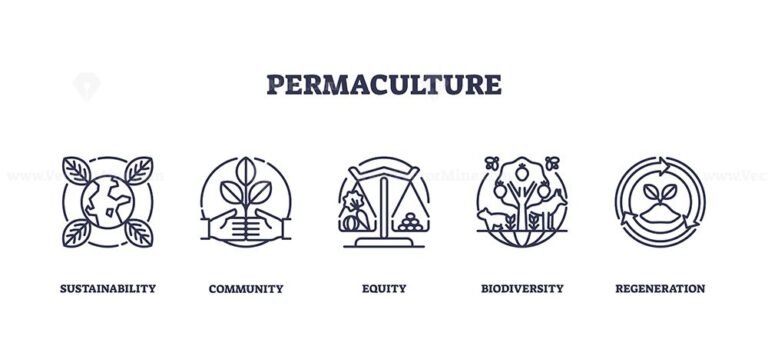 Permaculture focuses on sustainability, community, and biodiversity with icons of earth, plants, and balance scales. Outline icons set.