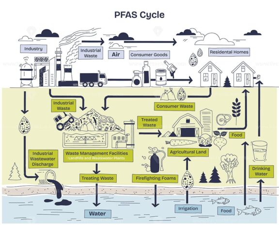 PFAS cycle illustrates contamination flow from industry to environment, highlighting industrial waste, water, and food. Doodle style diagram