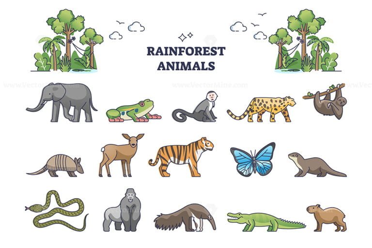 Rainforest jungle wildlife elements with animal fauna outline collection set