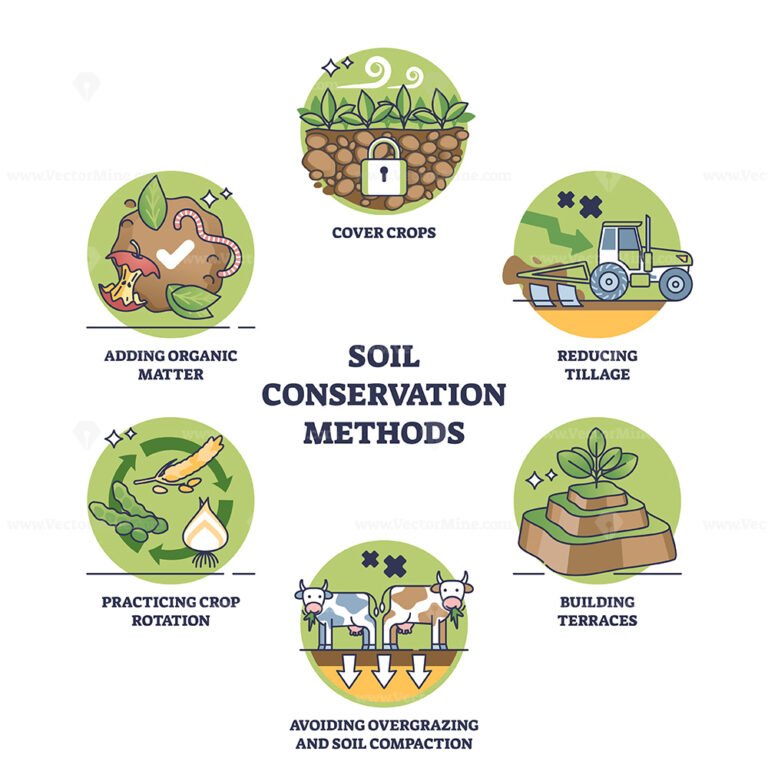 Regenerative agriculture vs conventional soil practices outline diagram ...