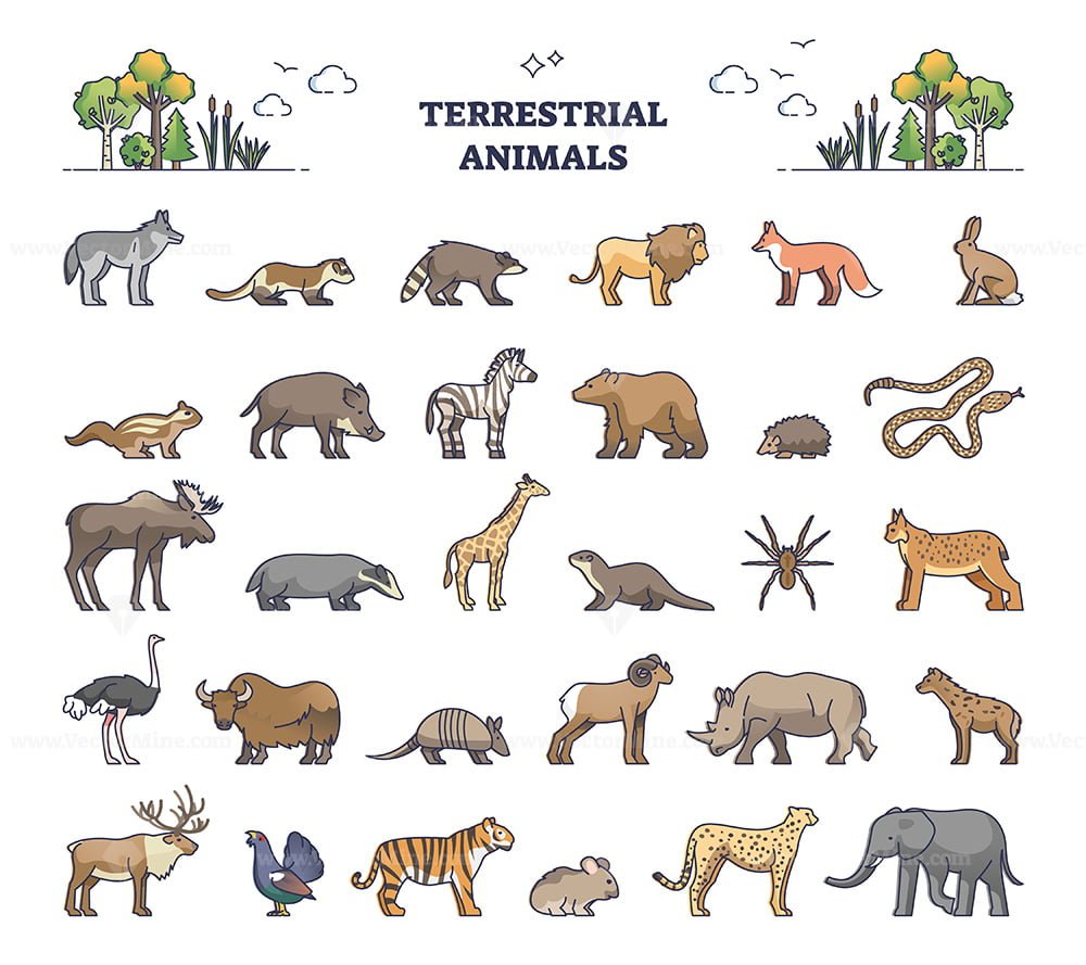 Terrestrial animals group as living species on land outline collection set  – VectorMine